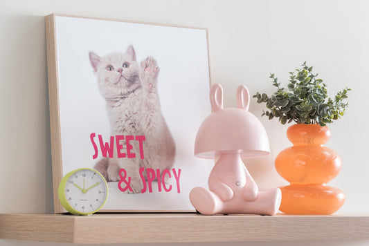Wall Art Kitten Sweet & Spicy