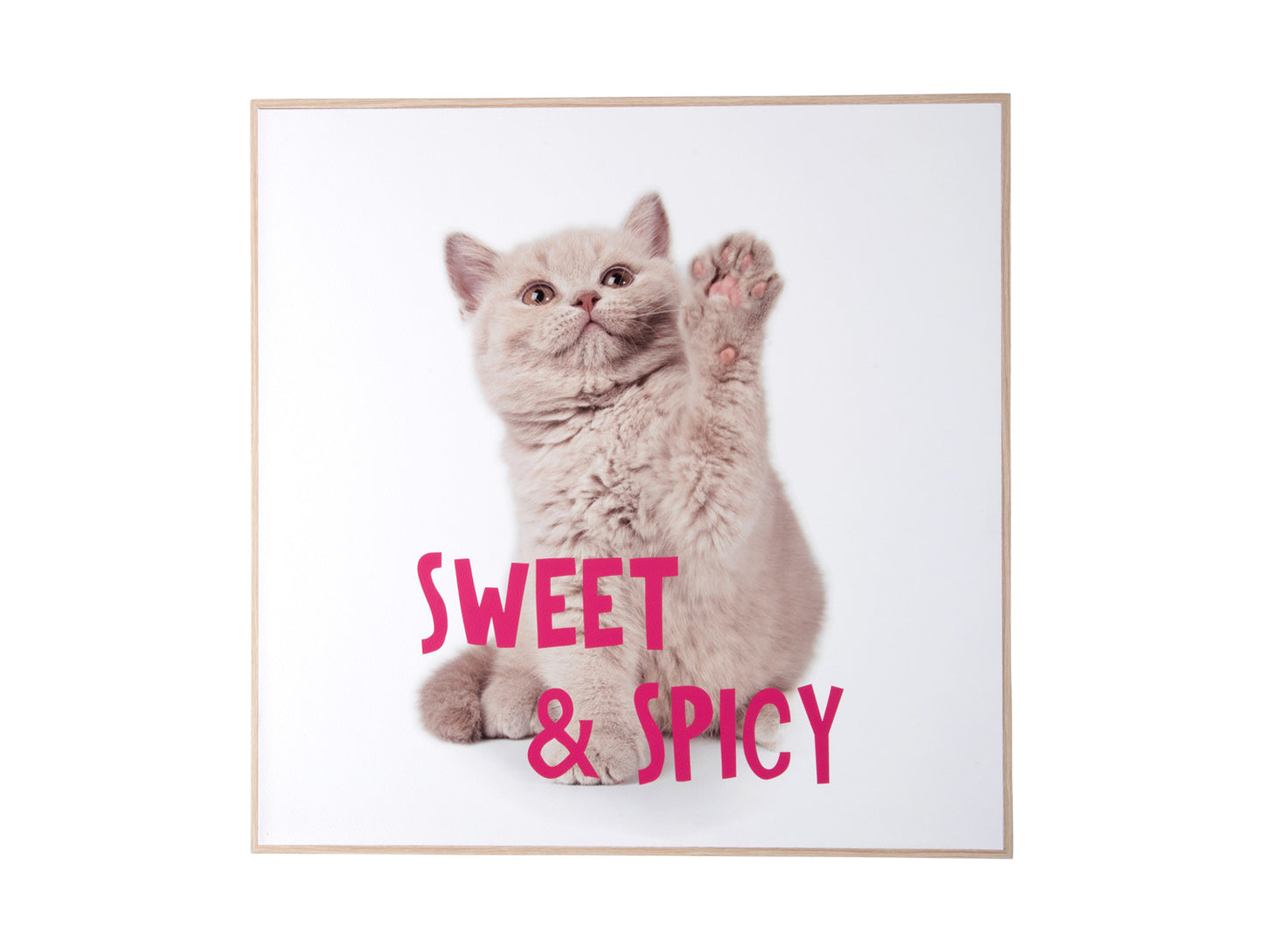 Wall Art Kitten Sweet & Spicy