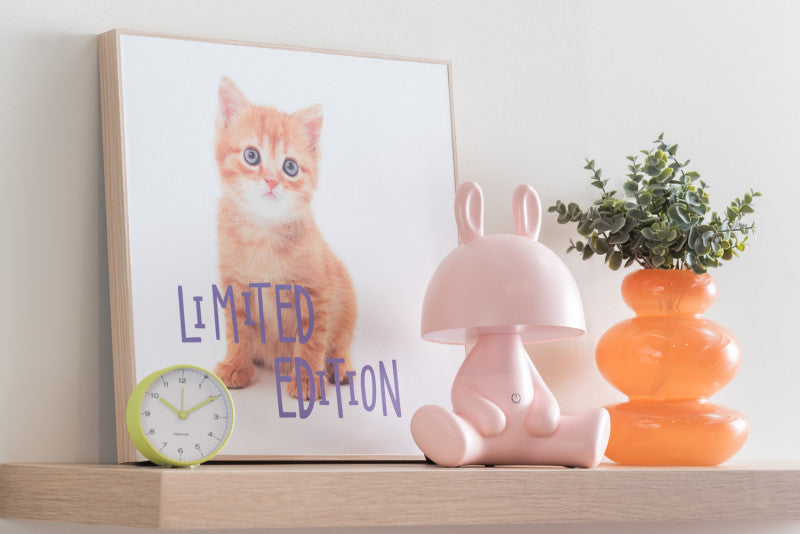 Wall Art Kitten Limited Edition