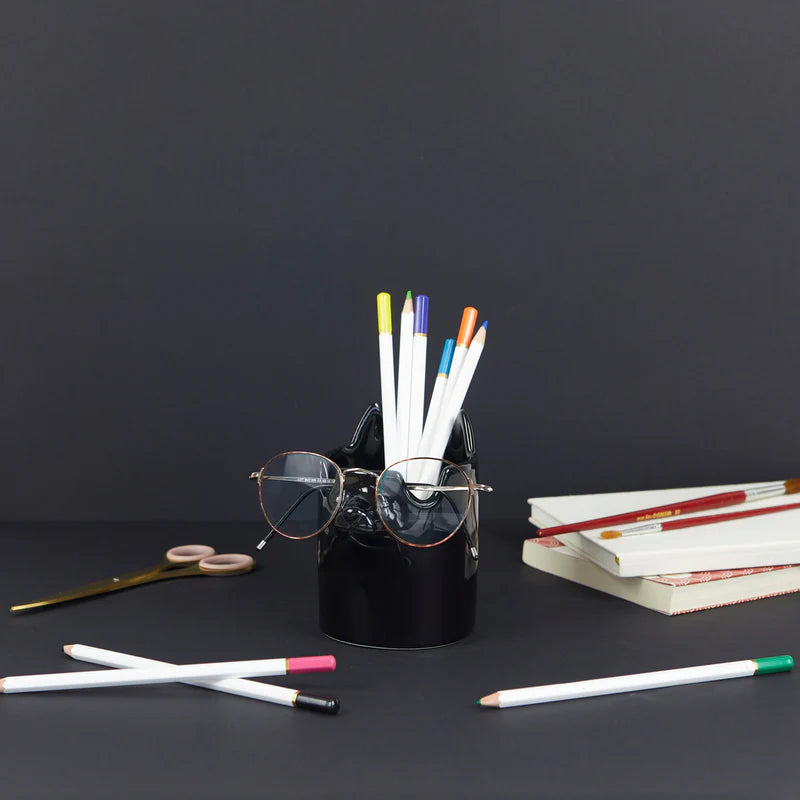 Mbajtese lapsash edhe syzesh Cat Black