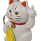 Mbajtese celsash "Angry cat"