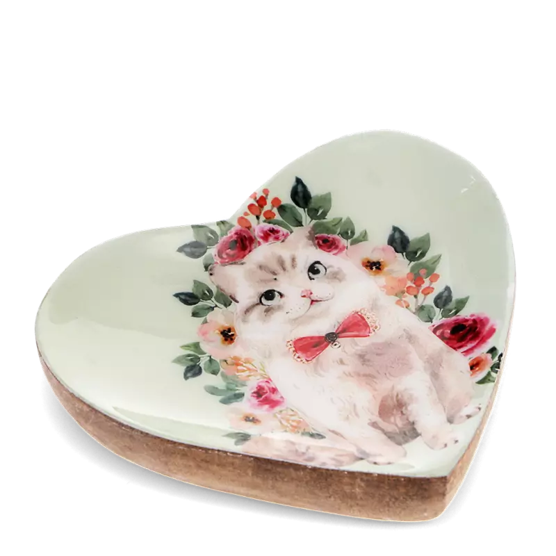 Mbajtese Bizhush Cat