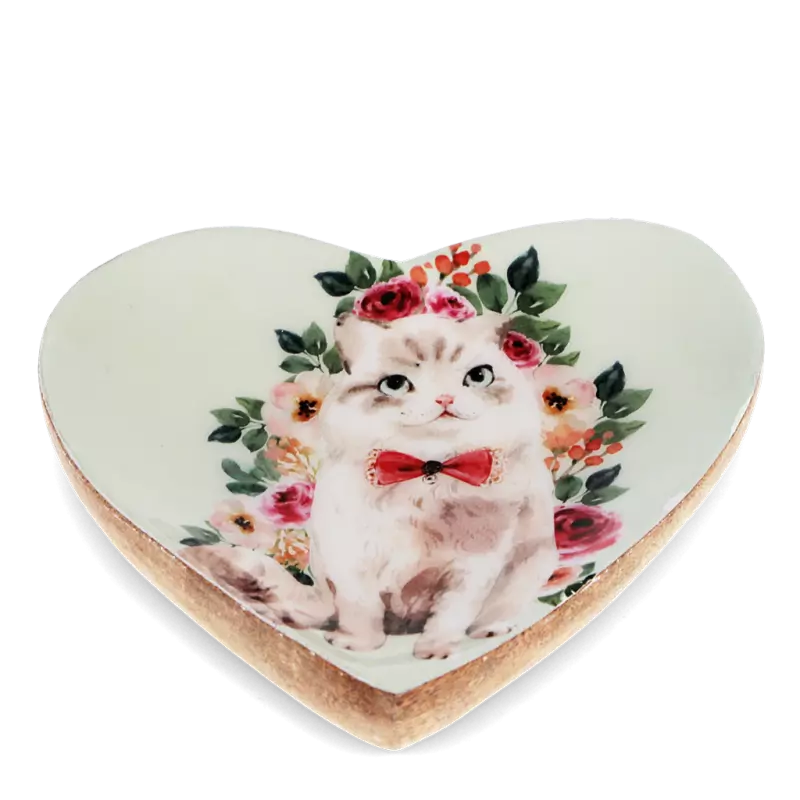 Mbajtese Bizhush Cat