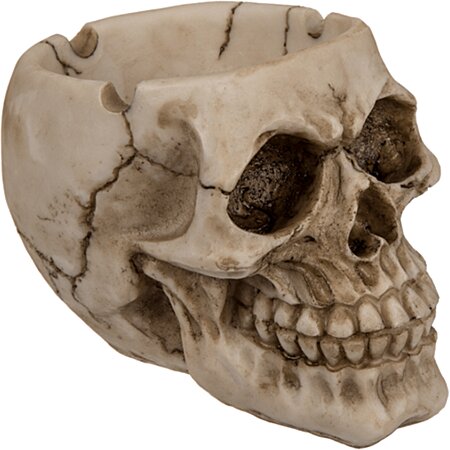 Tavell Skull