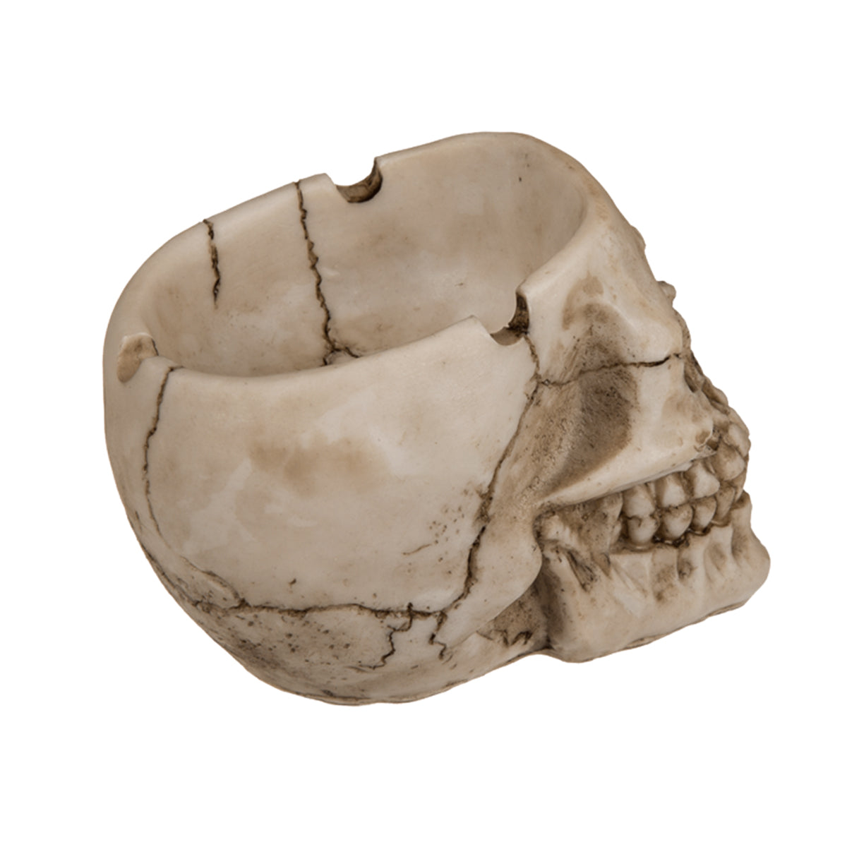 Tavell Skull