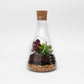 CHEMISTRY SET TERRARIUM