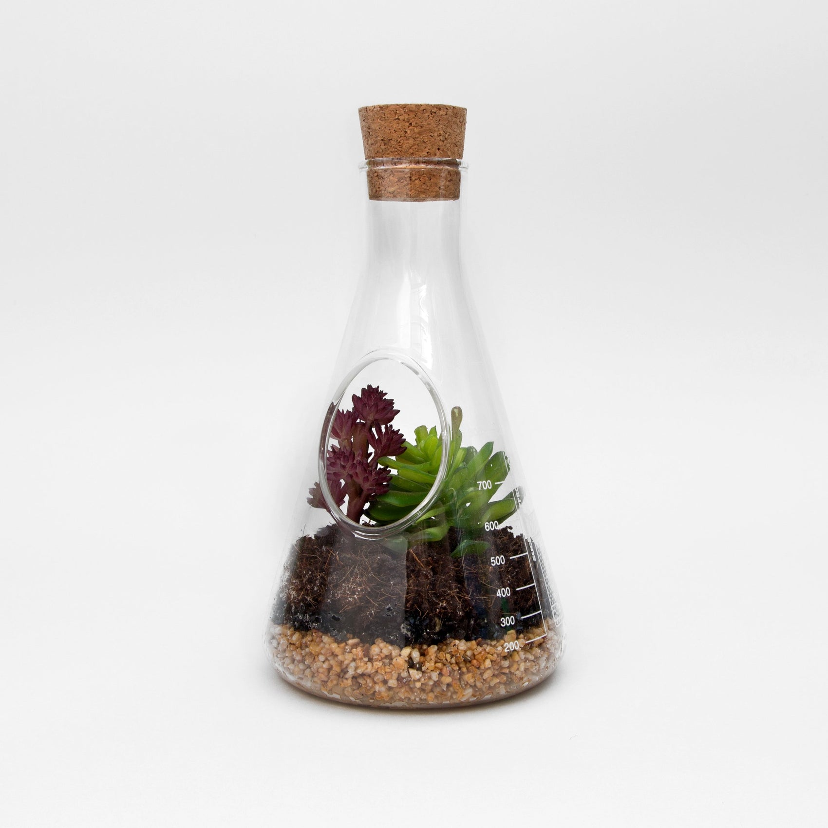 CHEMISTRY SET TERRARIUM