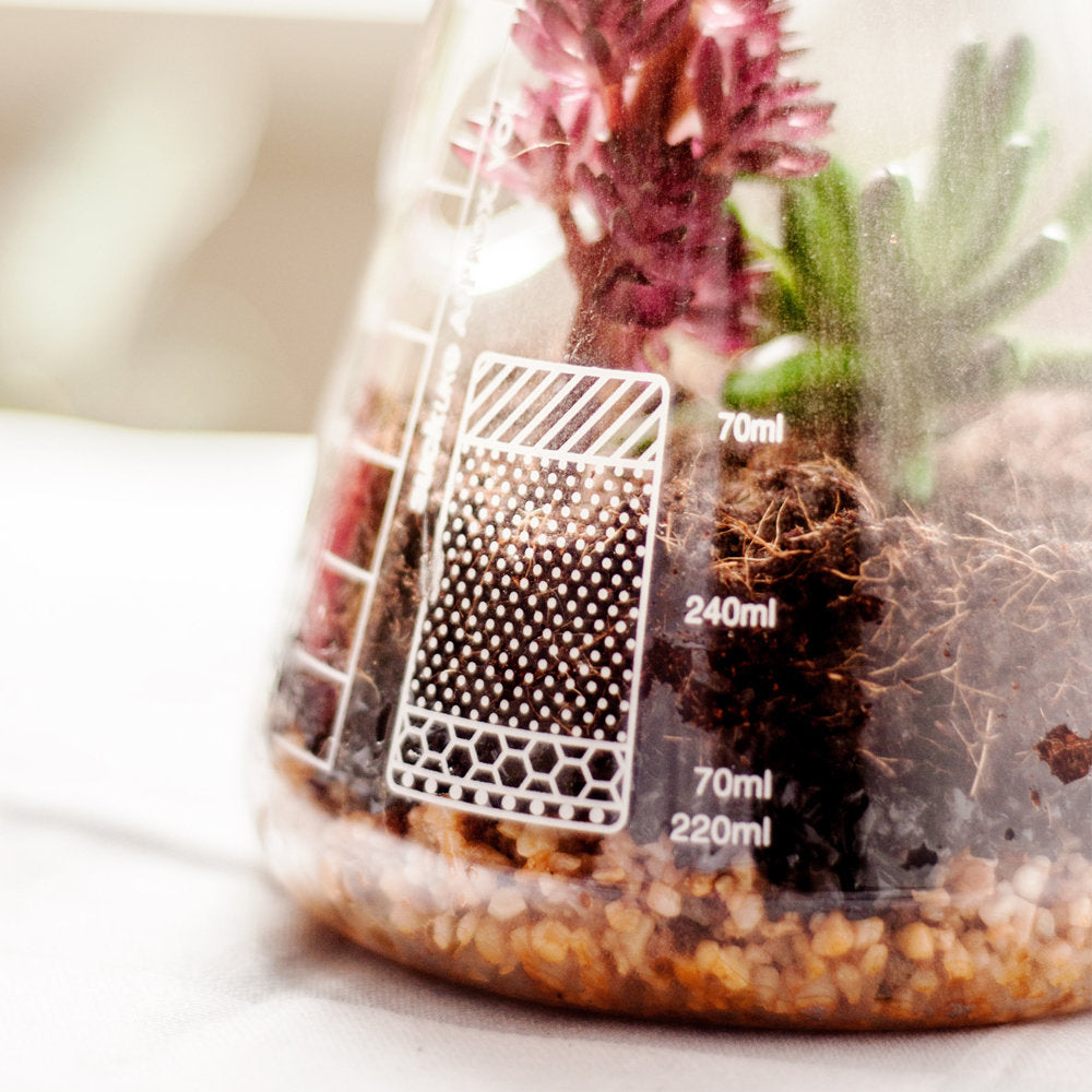 CHEMISTRY SET TERRARIUM