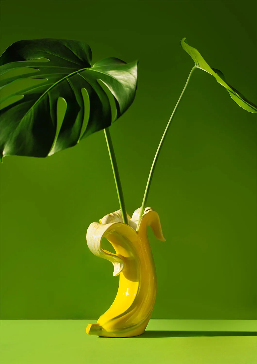Vazo Banana