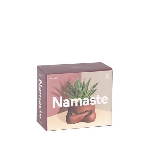 Vazo Namaste
