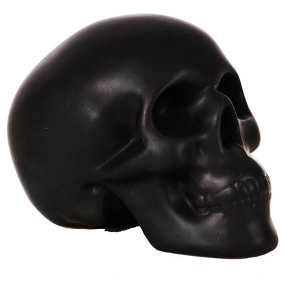 Arke kursimi “Skull”