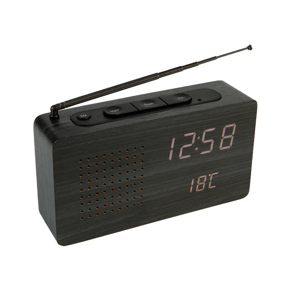 Portable Radio - Black