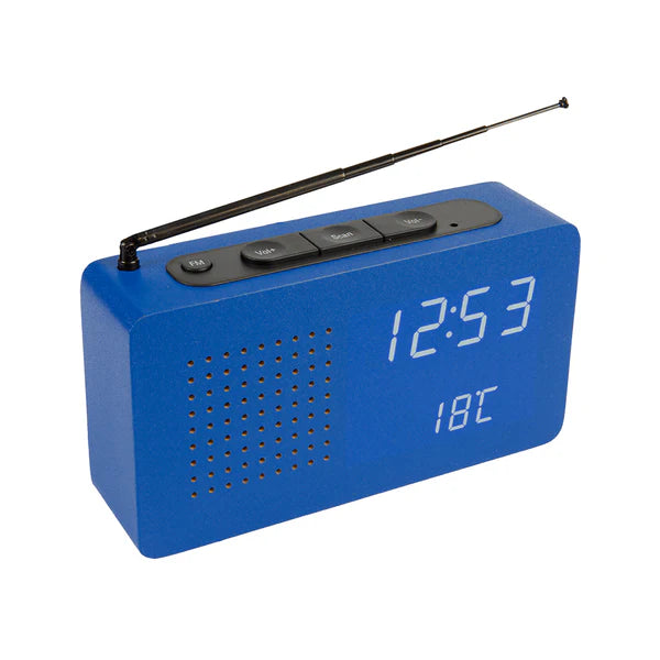 Portable Radio - Blue