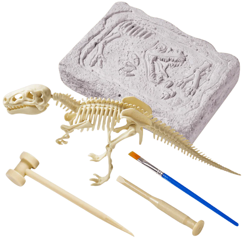 Excavation kit, Dinosaur Skeleton
