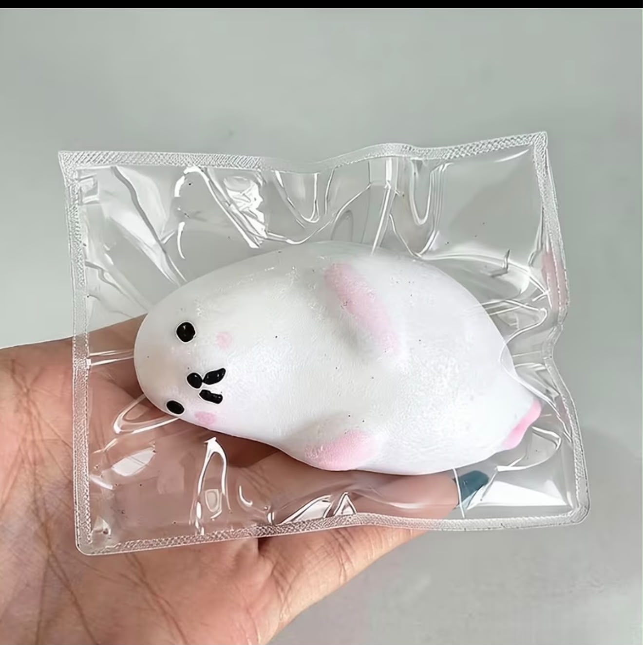 Squishy Seal