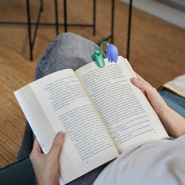 Drite Leximi Tulip Lilac