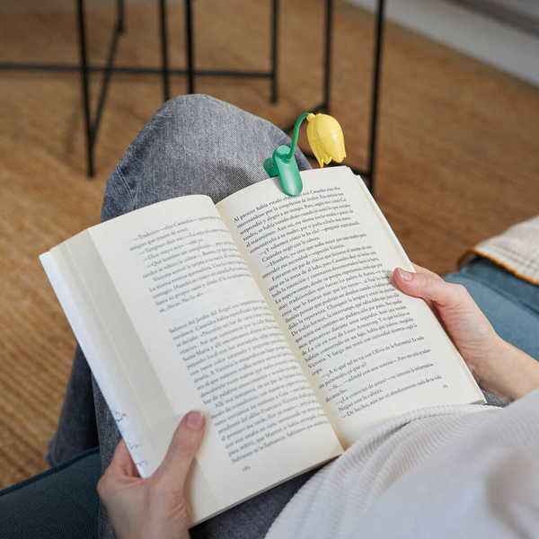 Drite Leximi Tulip Yellow