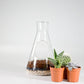 CHEMISTRY SET TERRARIUM