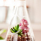 CHEMISTRY SET TERRARIUM