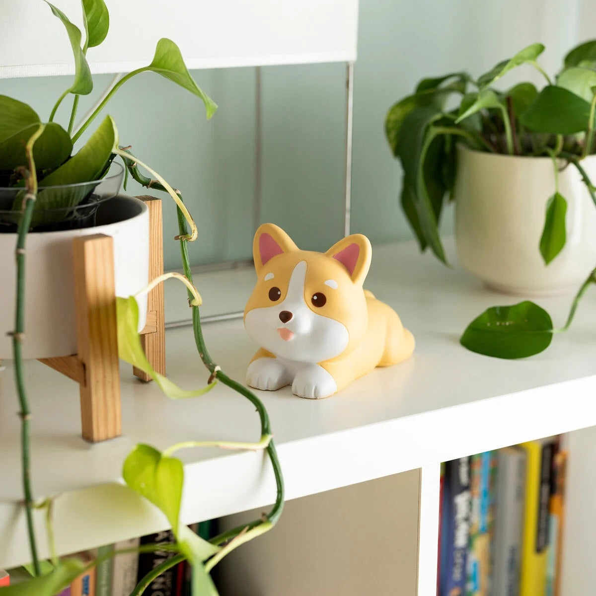 Antistres ne forme qenushi