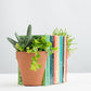 PLANTER BOOKENDS