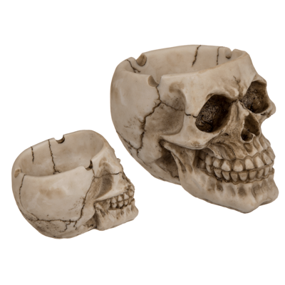 Tavell Skull