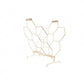 Mbajtese Revistash Gold