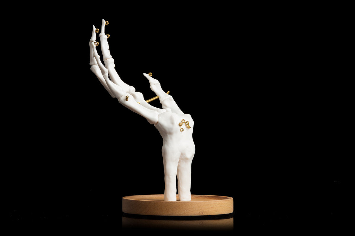 Organizues White SKELETON HAND