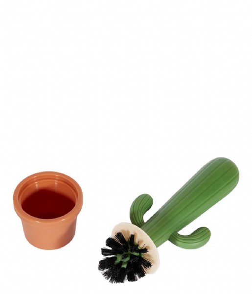 Kaktus per Enet